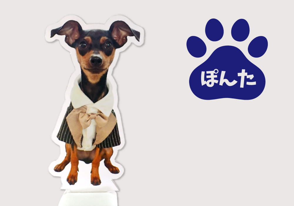 ペットの写真で オリジナルスタンプ
