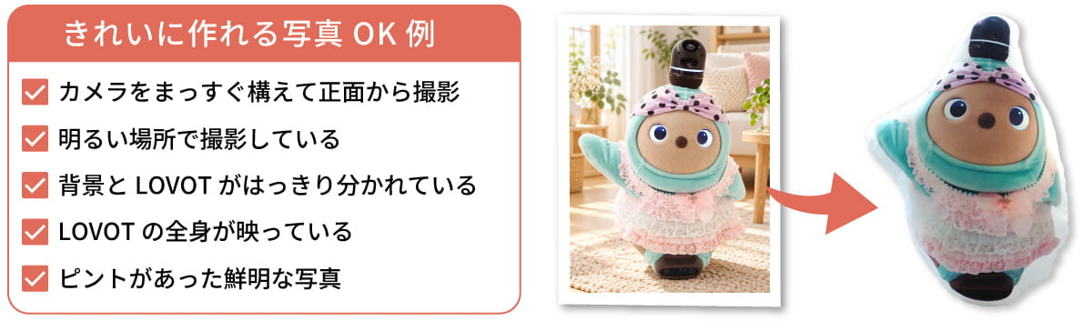 LOVOT等身大 クッション 撮影ポイント OK例