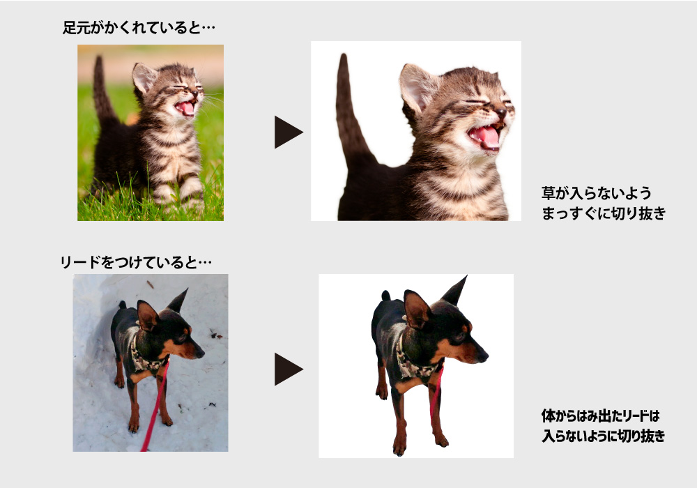 フリーカット 動物説明