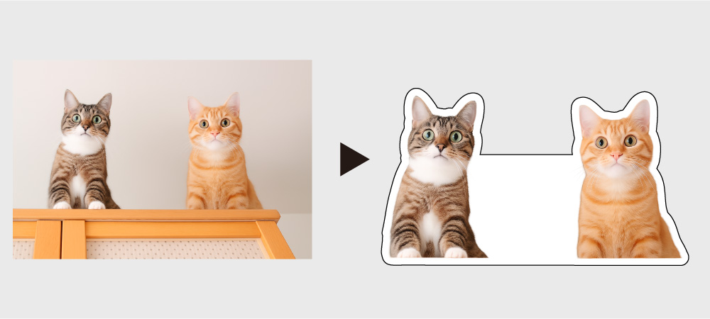 フリーカット 動物説明