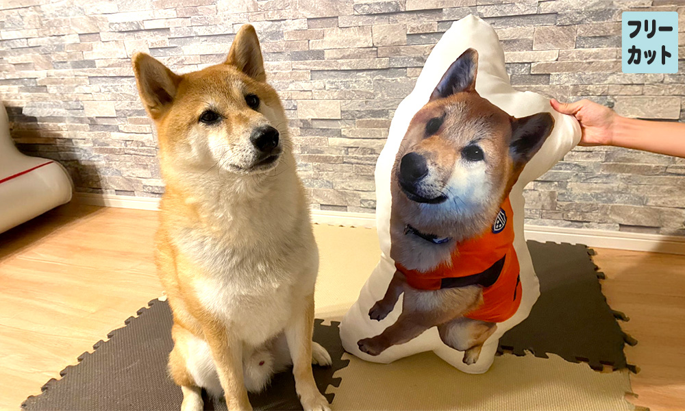 母の日 愛犬 クッション