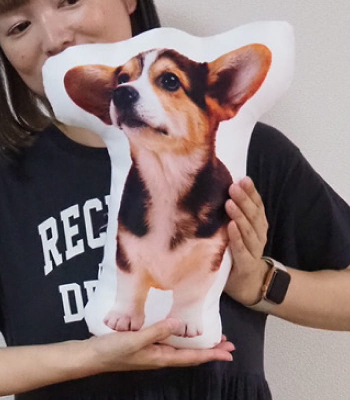 等身大クッション