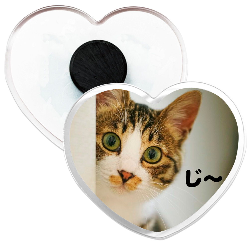 ペットグッズ アクリルマグネット