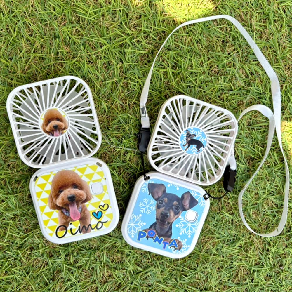 ドッグラン・お散歩に