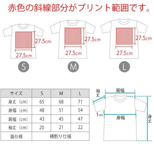 Tシャツ サイズ