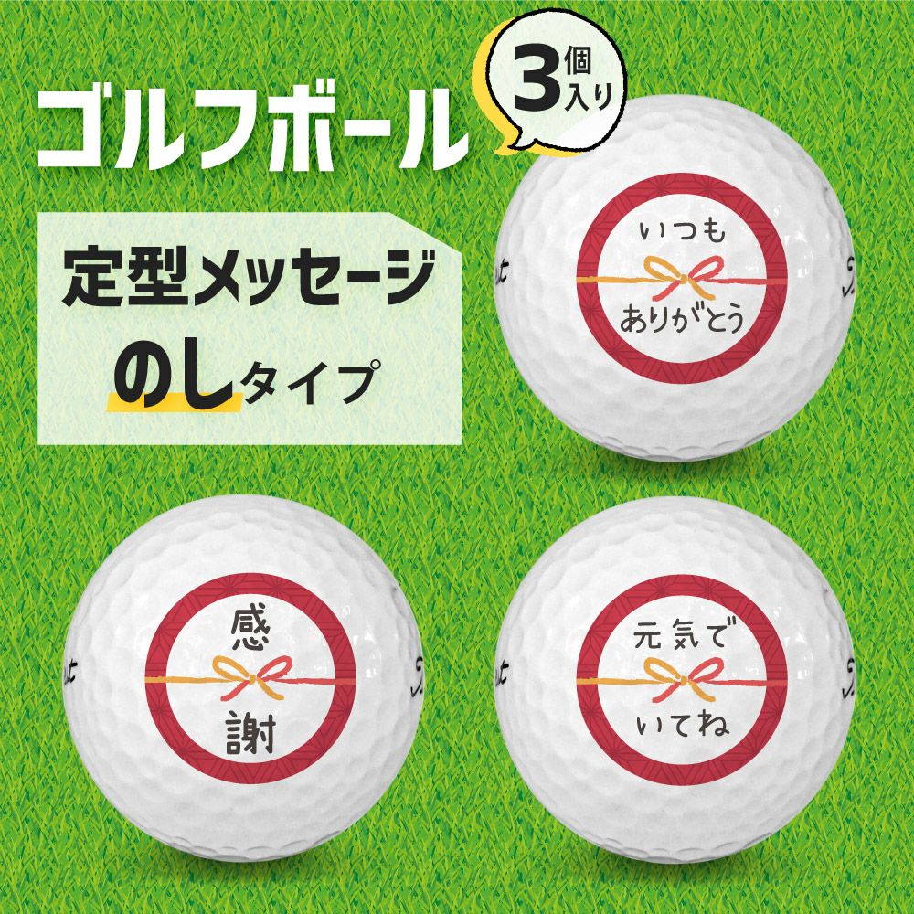 定型メッセージ ゴルフボール 【3個入り】【□ のし】 母の日 父の日